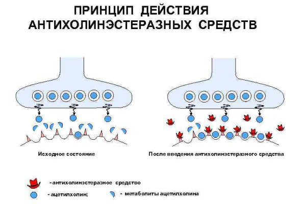 Оригинальная ссылка на кракен